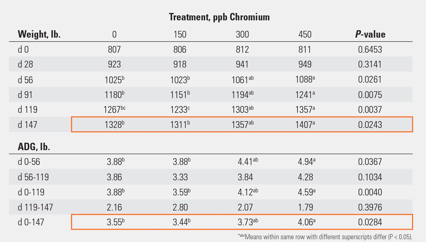 Performance of feedlot steers