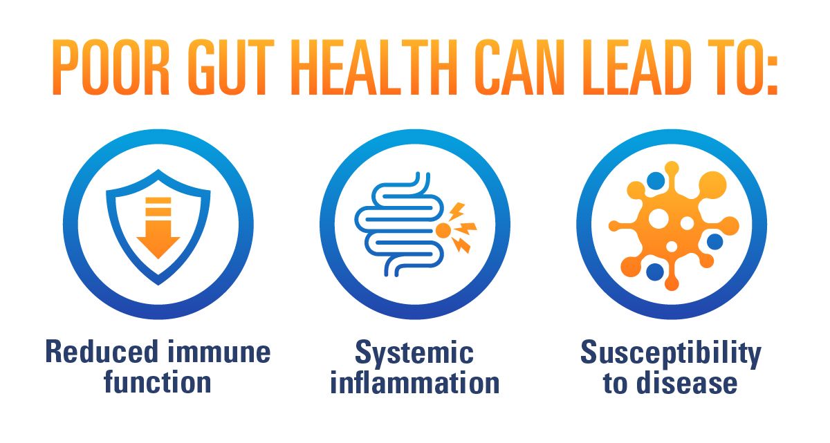 Poor Gut Health x2