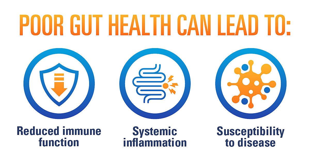 Poor Gut Health x2