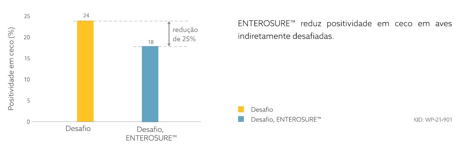 positividade em ceco aves.png