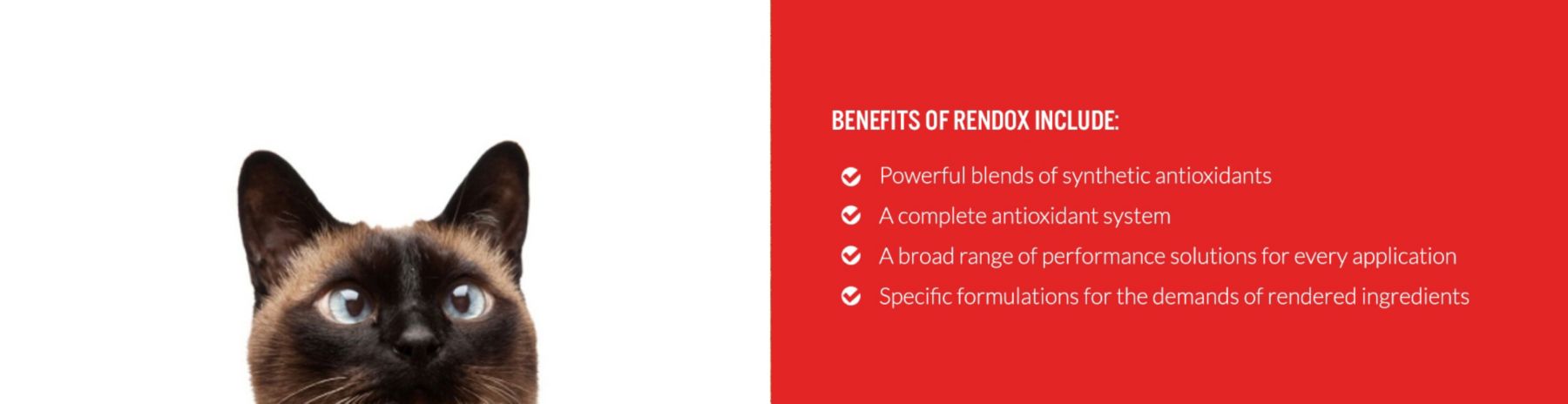 rendox-benefits_1