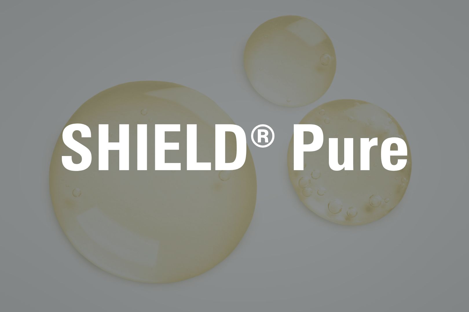 shield-pure-tile
