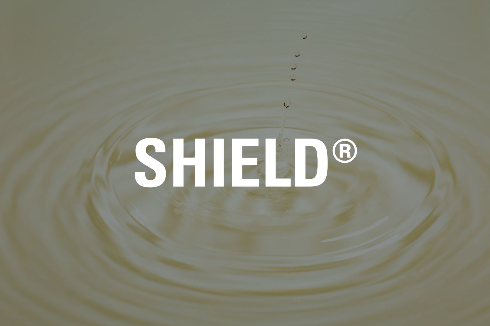 shield-tile