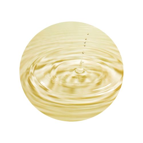 SHIELD_Pure_Product_Page_Images - 1