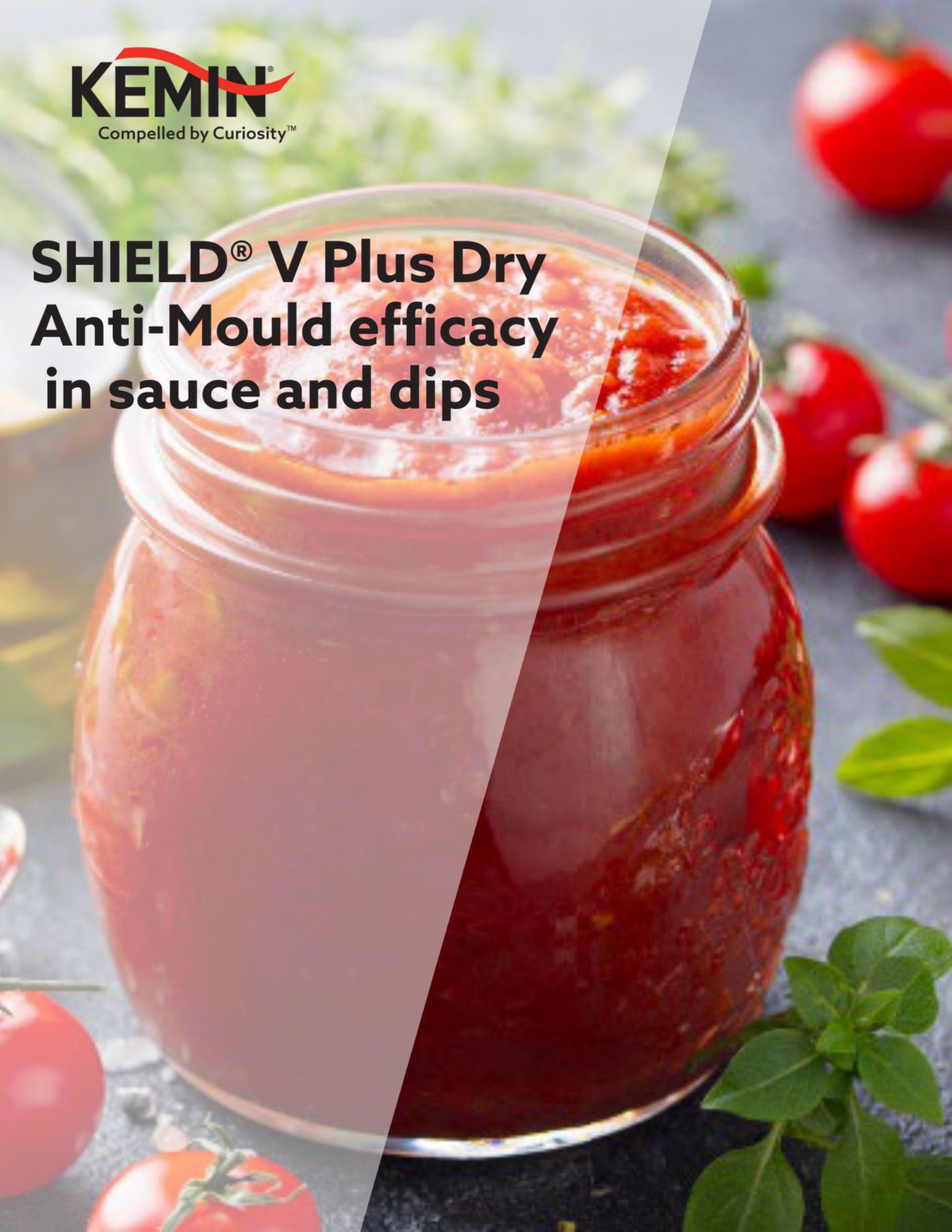 KFTEMEA Product Cover Pages - SHIELD® V Plus Dry Anti-Mould efficacy    in sauce and dips