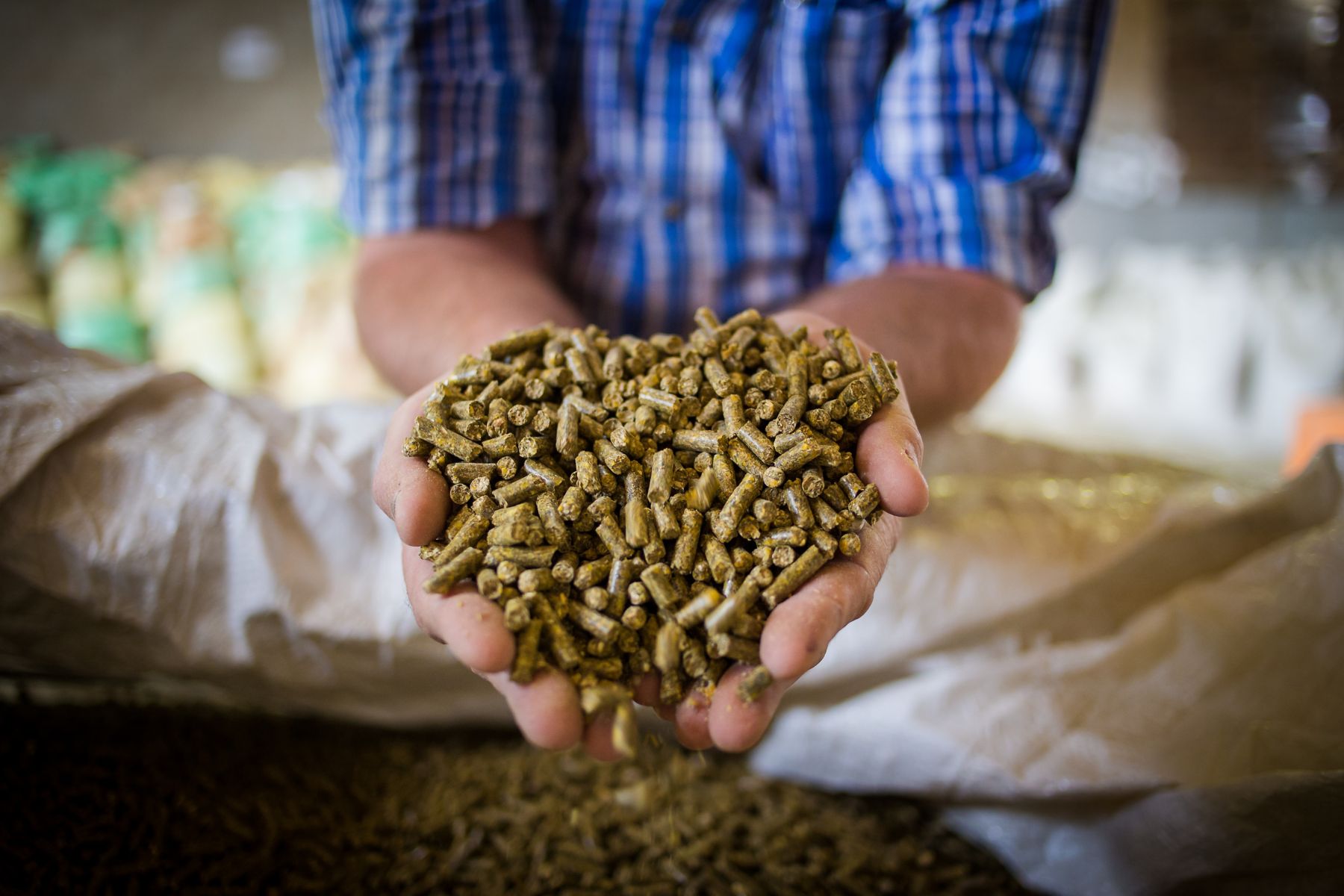 1014042340 Close up image of hands holding animal feed at a stock yard