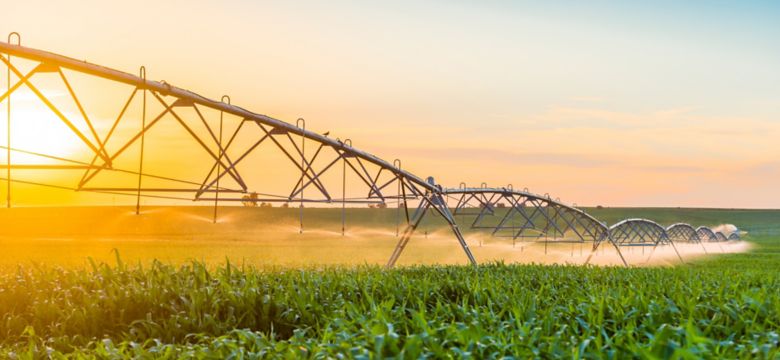 Irrigation System in Cornfield