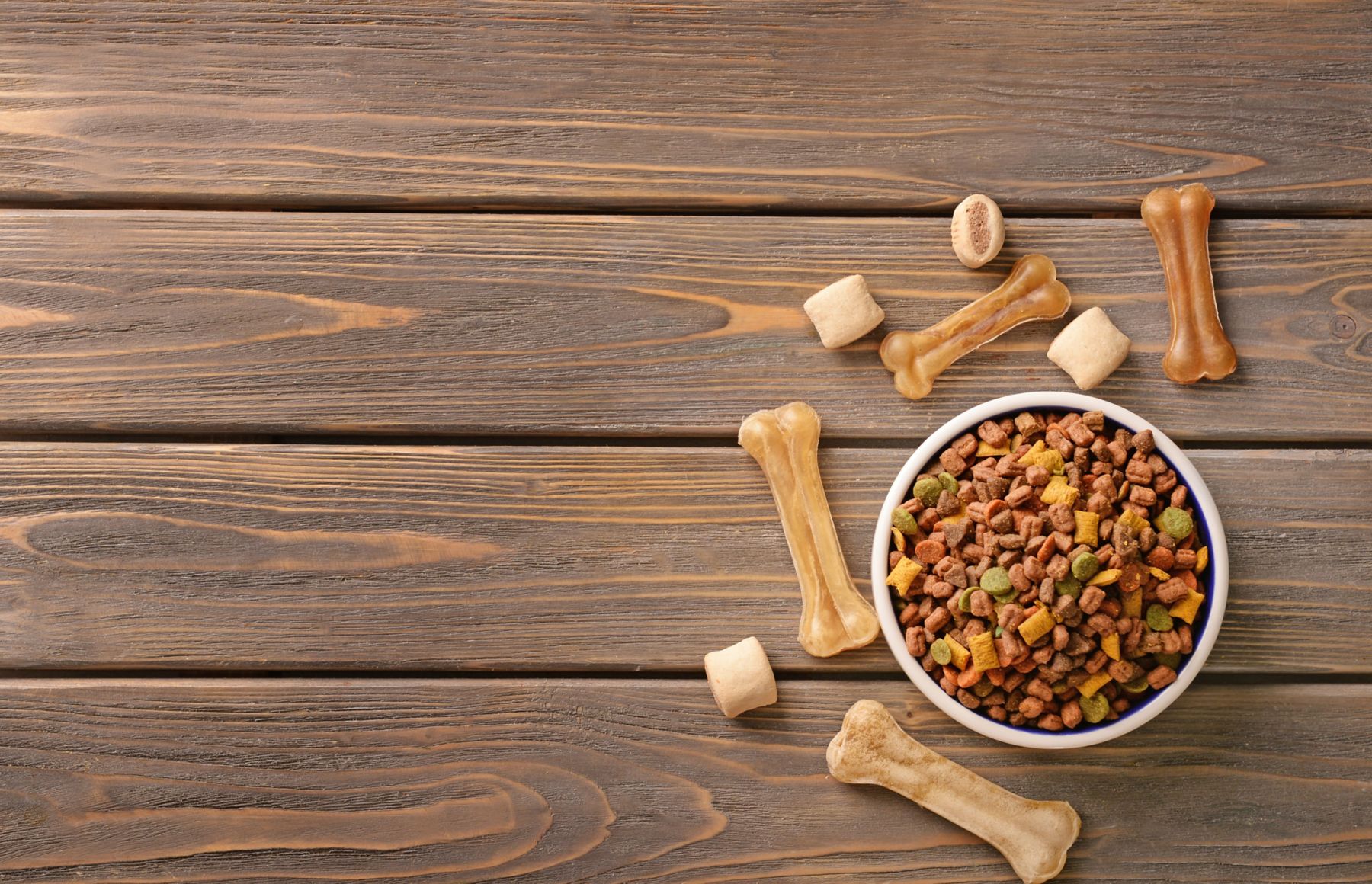 Bowl with pet food on wooden background
