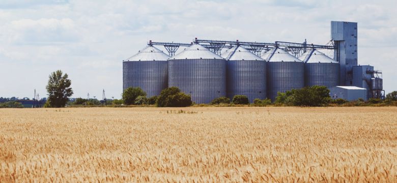 new grain elevator on the background of a wheat field