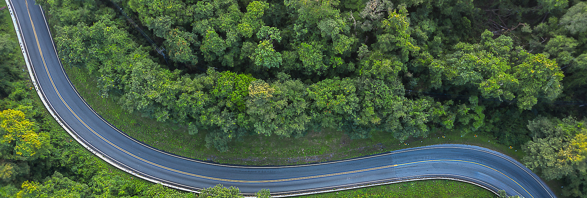 1516600046 Aerial top view of beautiful road through the green forest, road going through forest from above.
