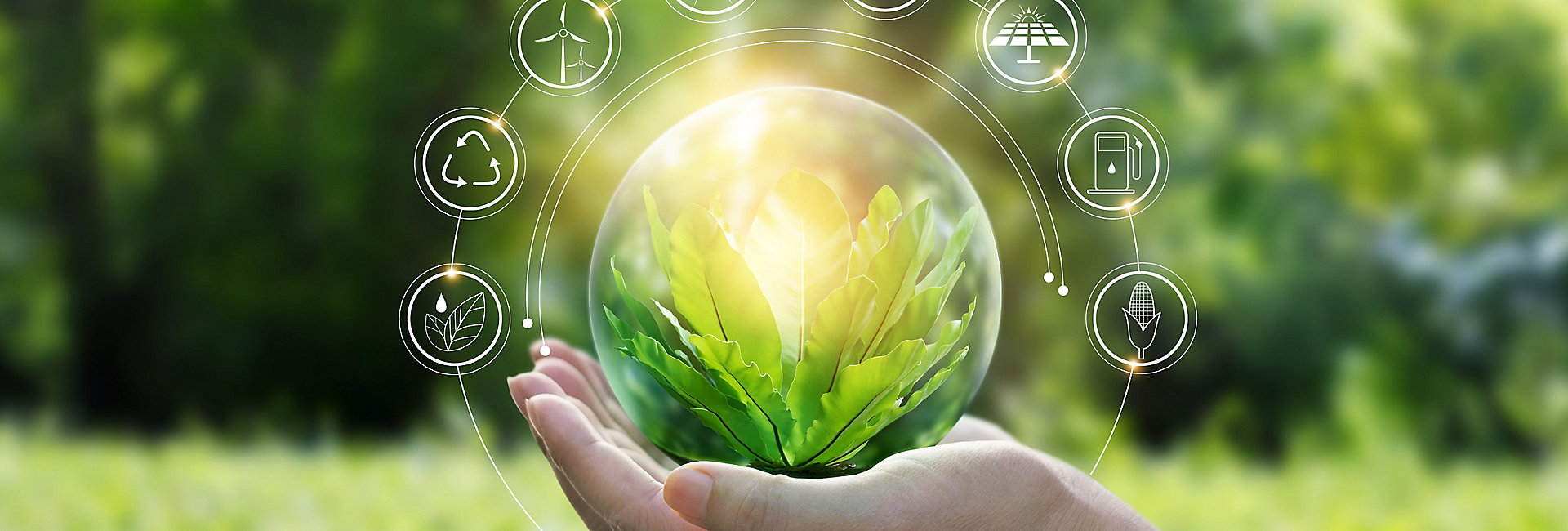 
Hands protecting globe of green tree on tropical nature summer background, Ecology and Environment concept; Shutterstock ID 1606190653; purchase_order: -; job: -; client: -
