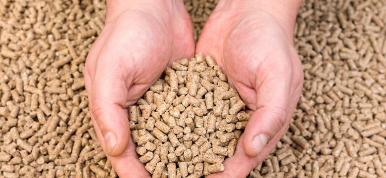 Hands holding granules of animal feed