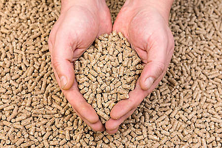 Hands holding granules of animal feed