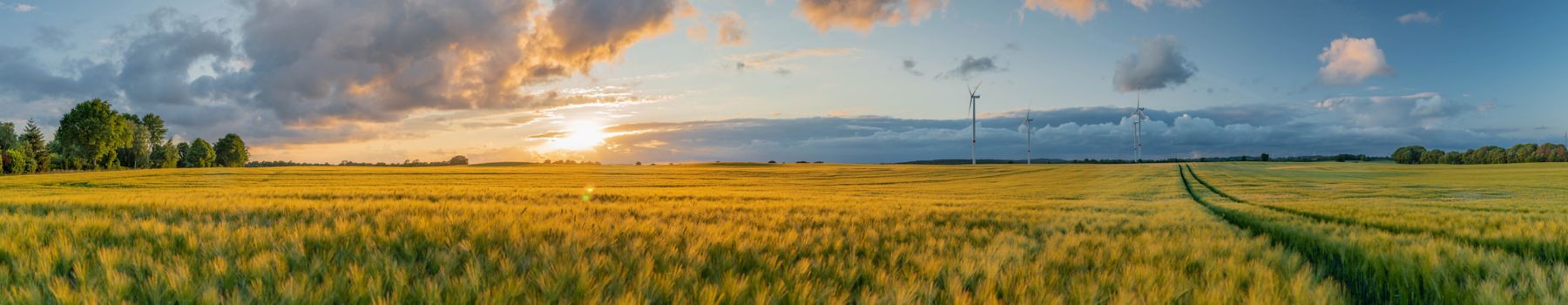 1752412076 Panorama view of beautiful countryside scene cultivated fields with wind turbines. Rural landscape with green wheat field in countryside