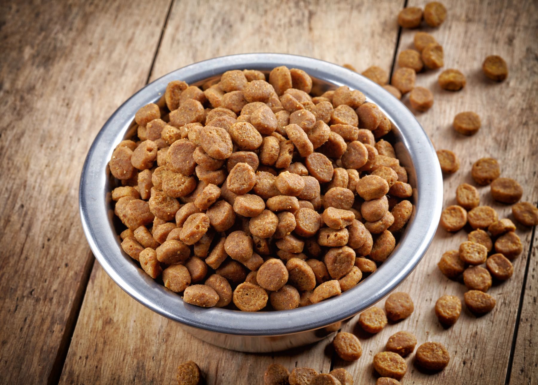 Bowl of dry pet food