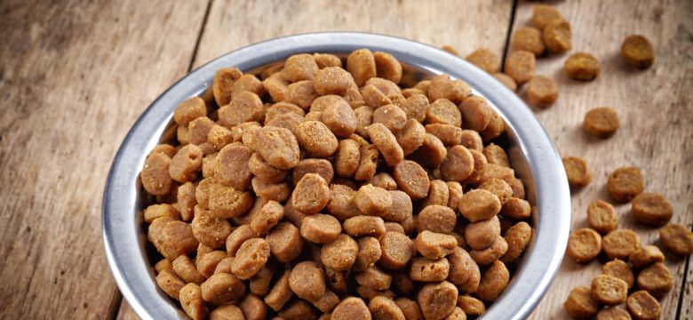 Bowl of dry pet food