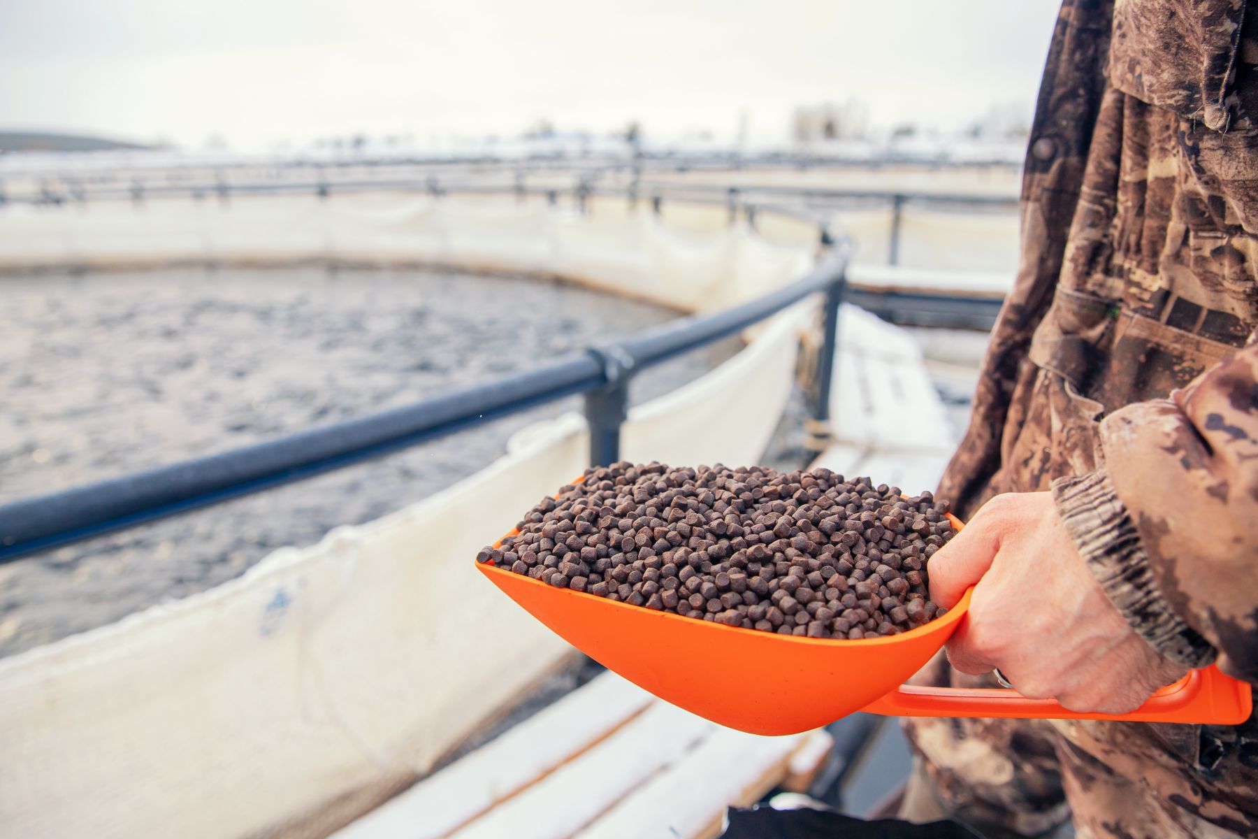Fish pellets for aquaculture