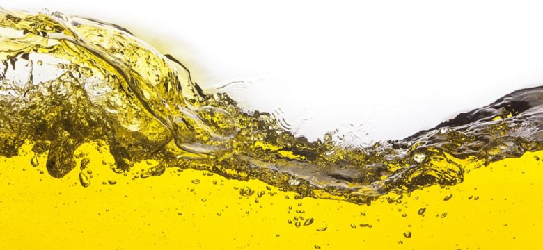Kemin Present at 10th International Symposium on Deep-Frying