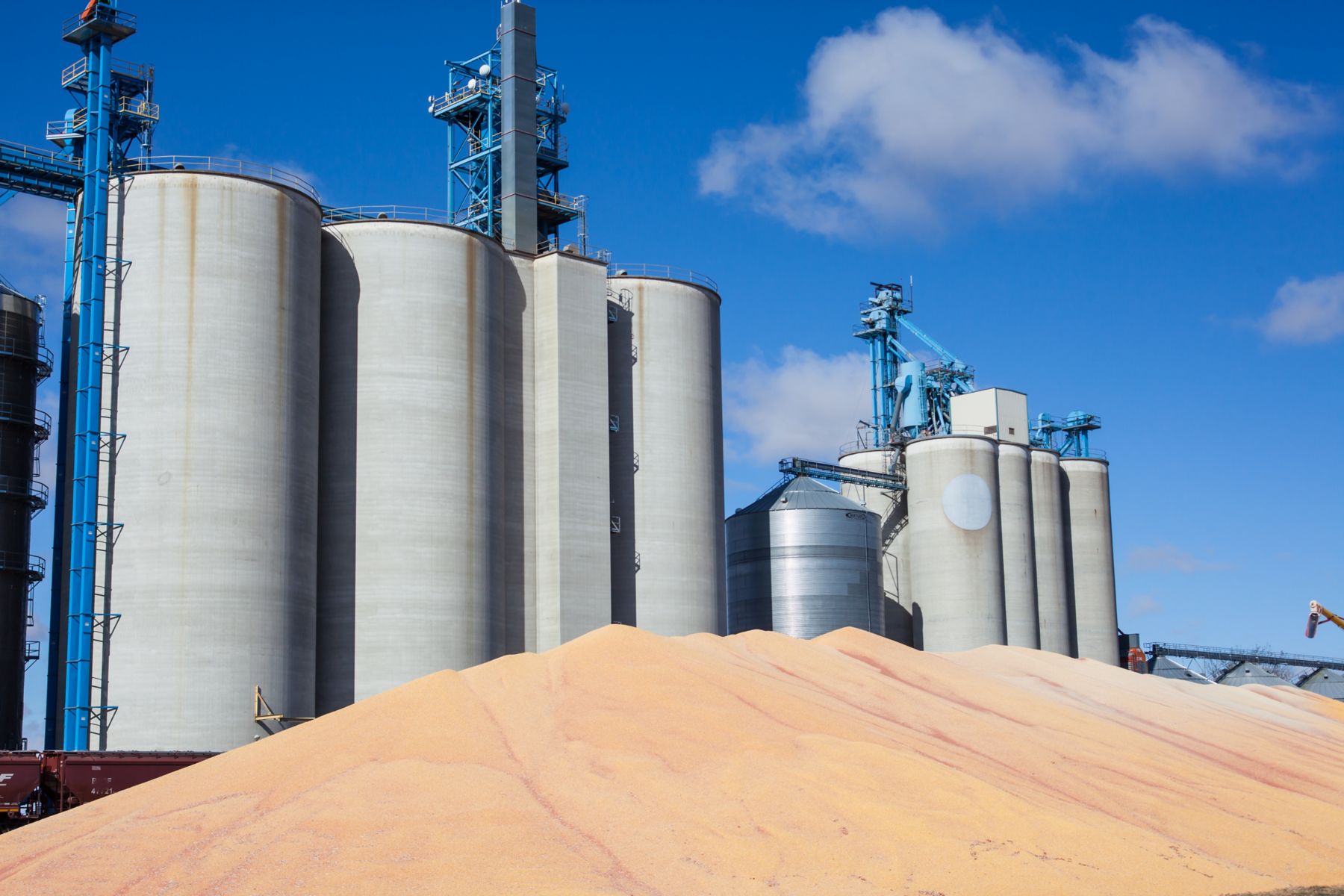 225554125 feed processing feed safety