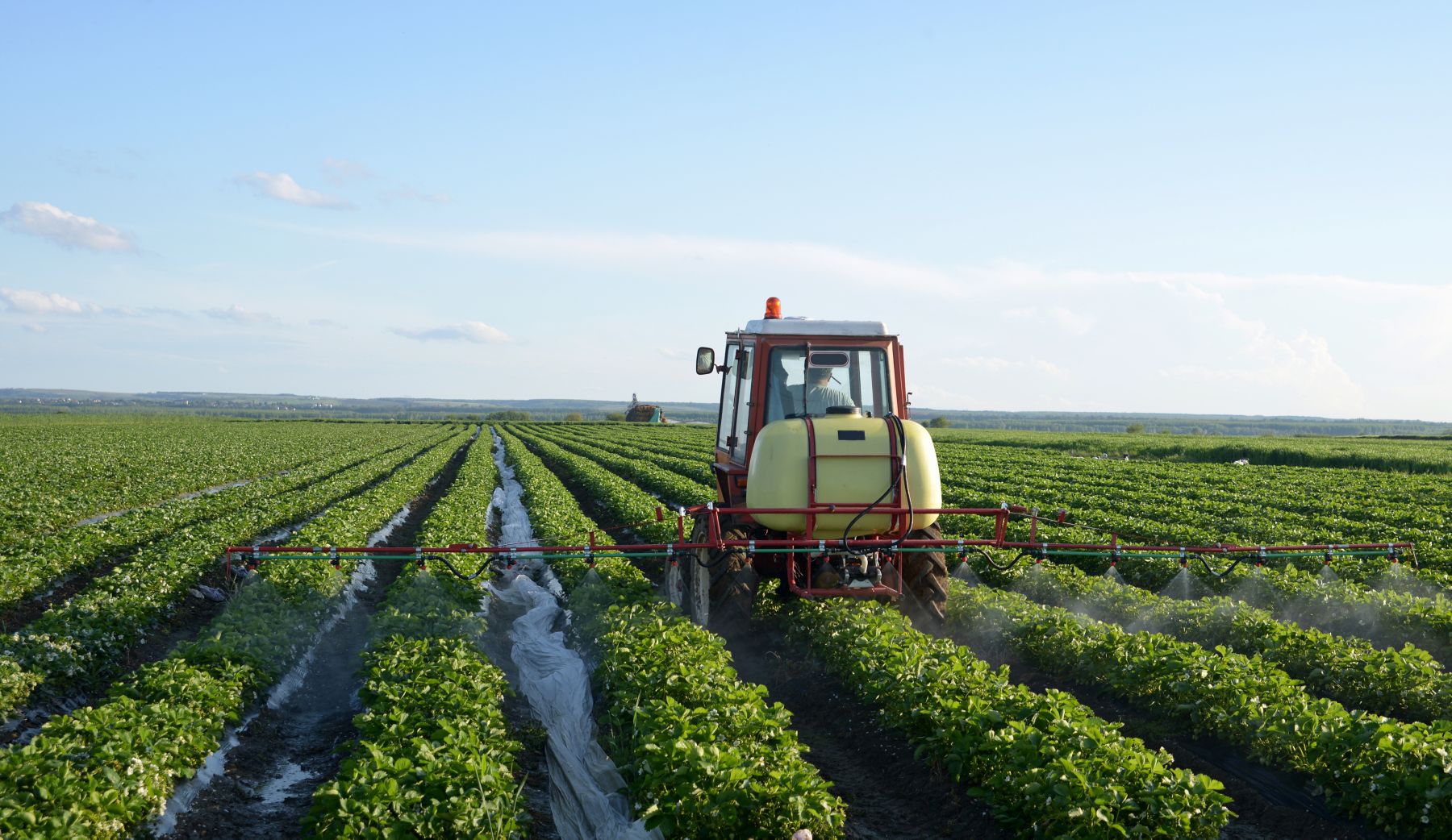 KCT Blog 25(b) Exempt biopesticide