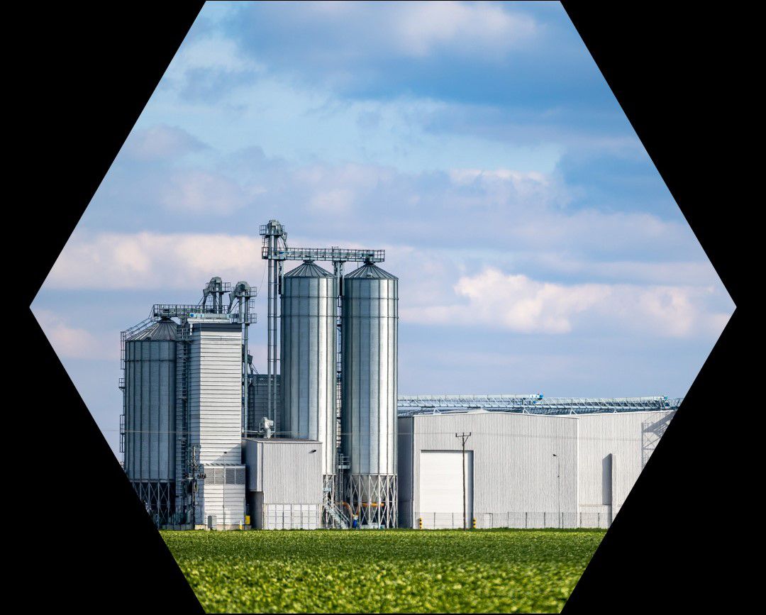 An animal feed production plant against the background of green agricultural fields. Grain silos next to the processing plant. Photo taken on a sunny day.  3 of 8 assets   