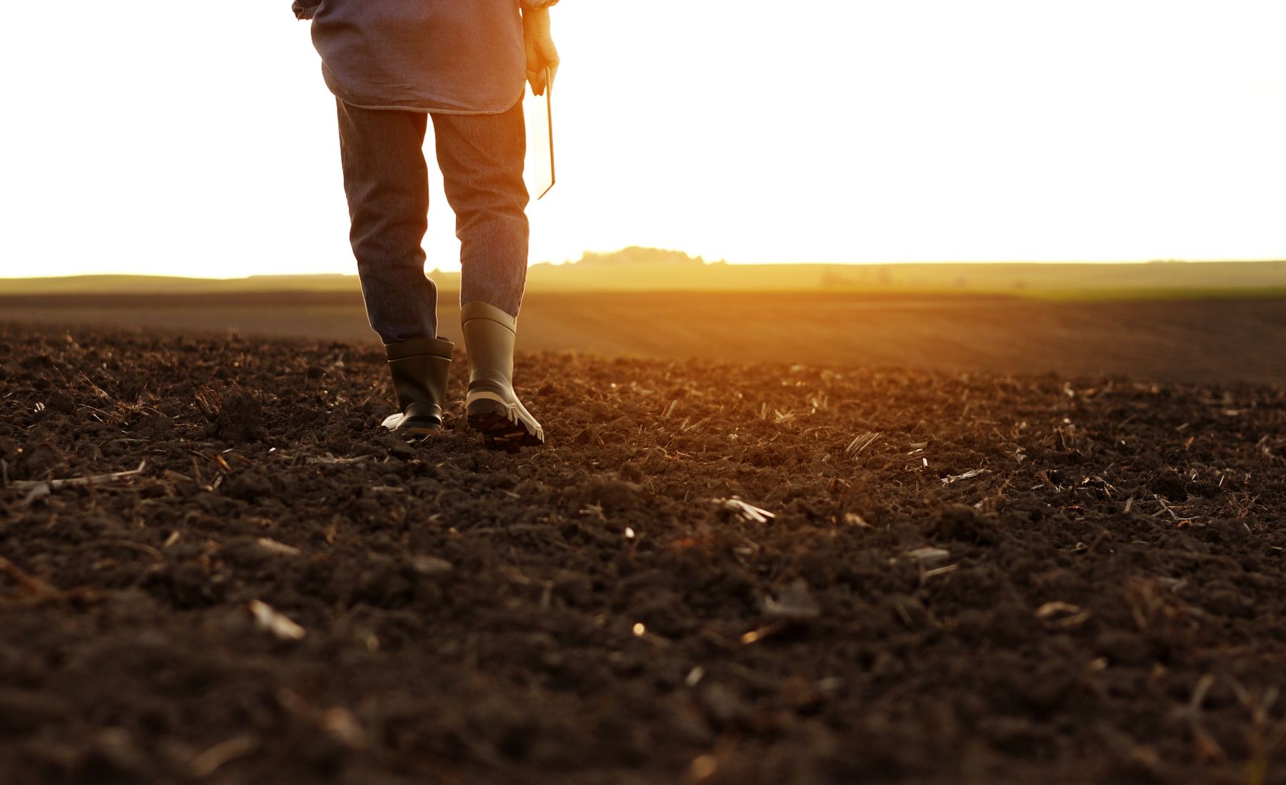 farmer walking down field