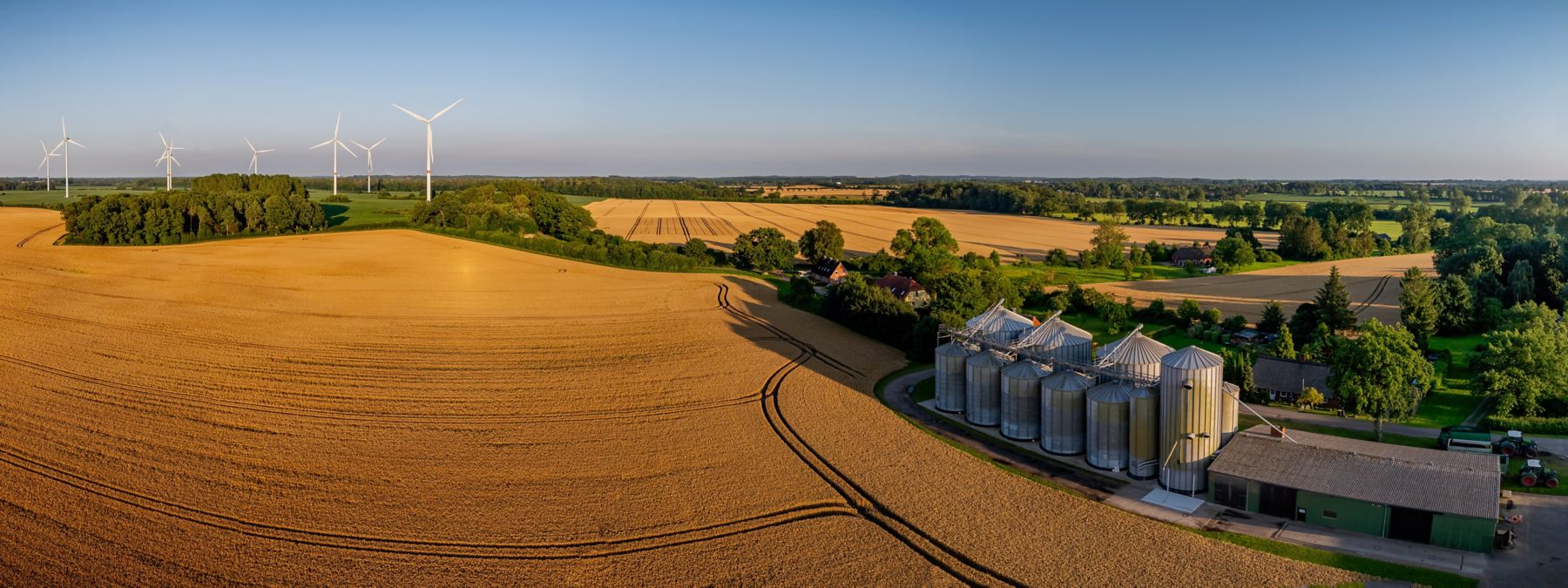 open field