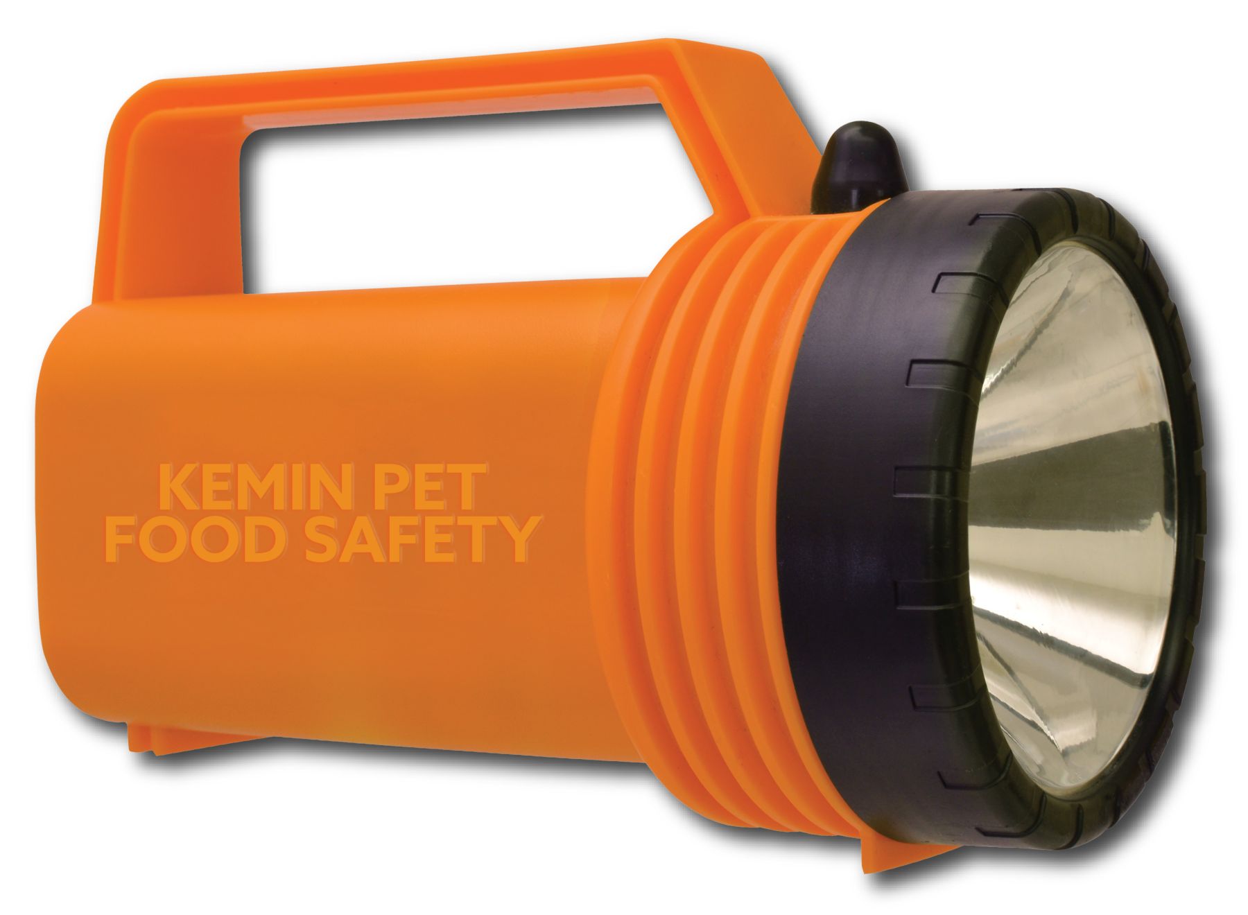 Flashlight_foodsafety