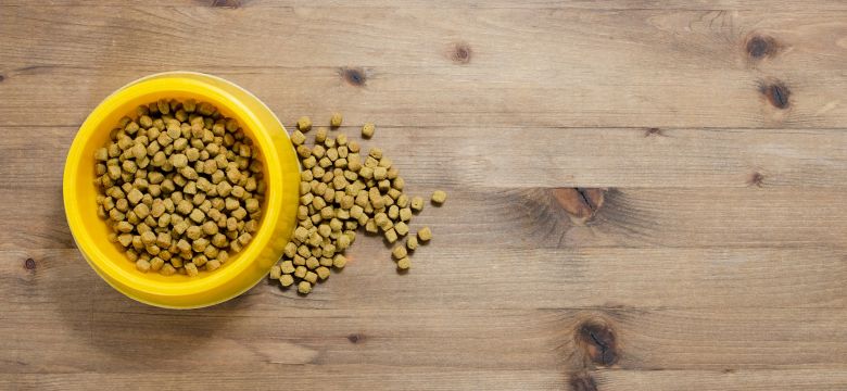 Cat food in bowl