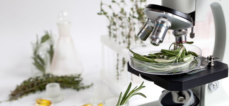 Kemin Food Technologies Food Quality Control in the Laboratory Rosemary
