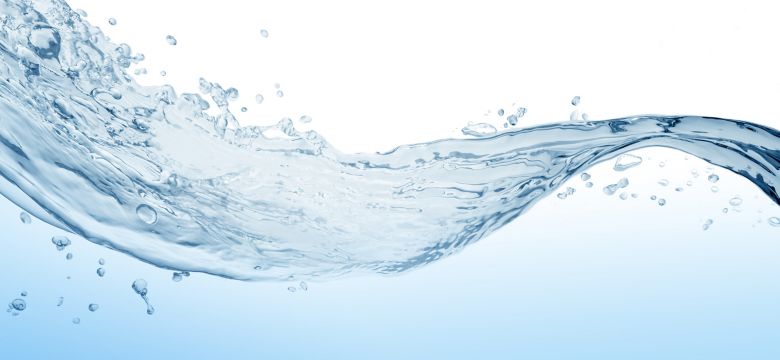 shutterstock_539876497