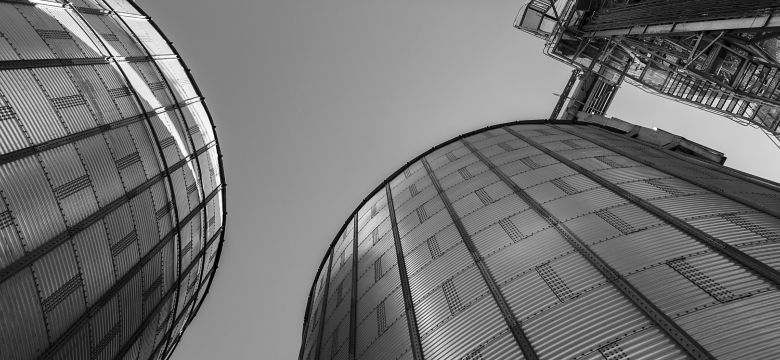 Shutterstock_548140933 -bw