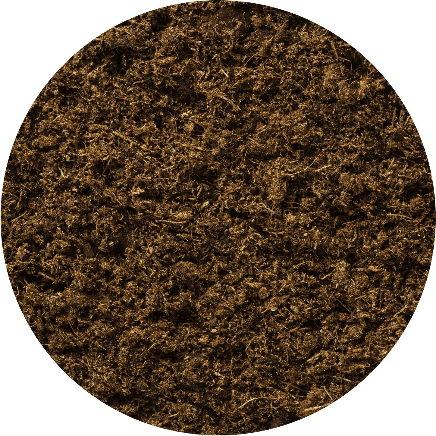 shutterstock_669584662_circle