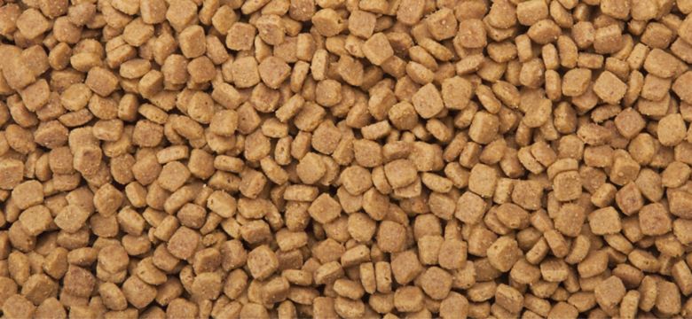 kibble1 
