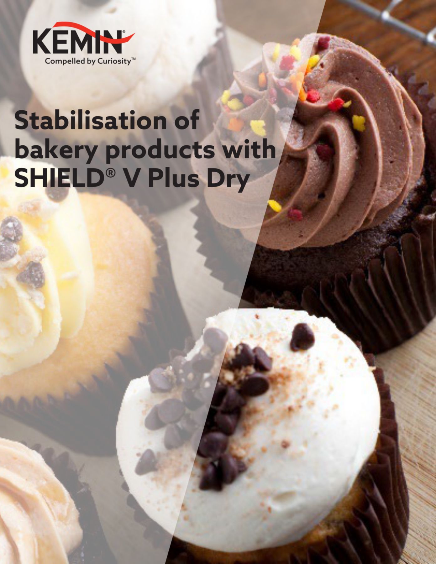 KFTEMEA Product Cover Pages - Stabilisation of  bakery products with  SHIELD® V Plus Dry