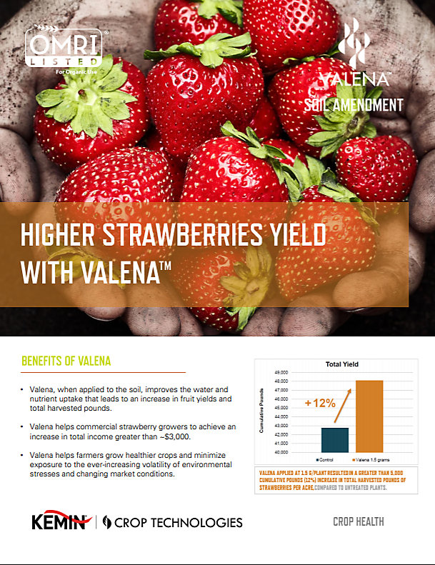 strawberry Valena Crop Sheet