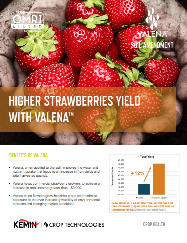strawberry Valena Crop Sheet