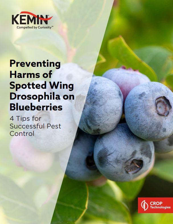 swd blueberries pdf
