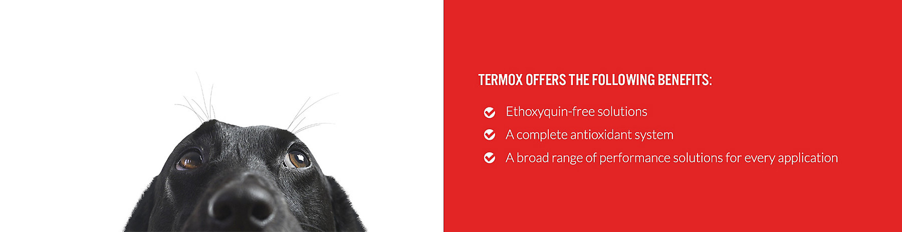 termox-benefits_1