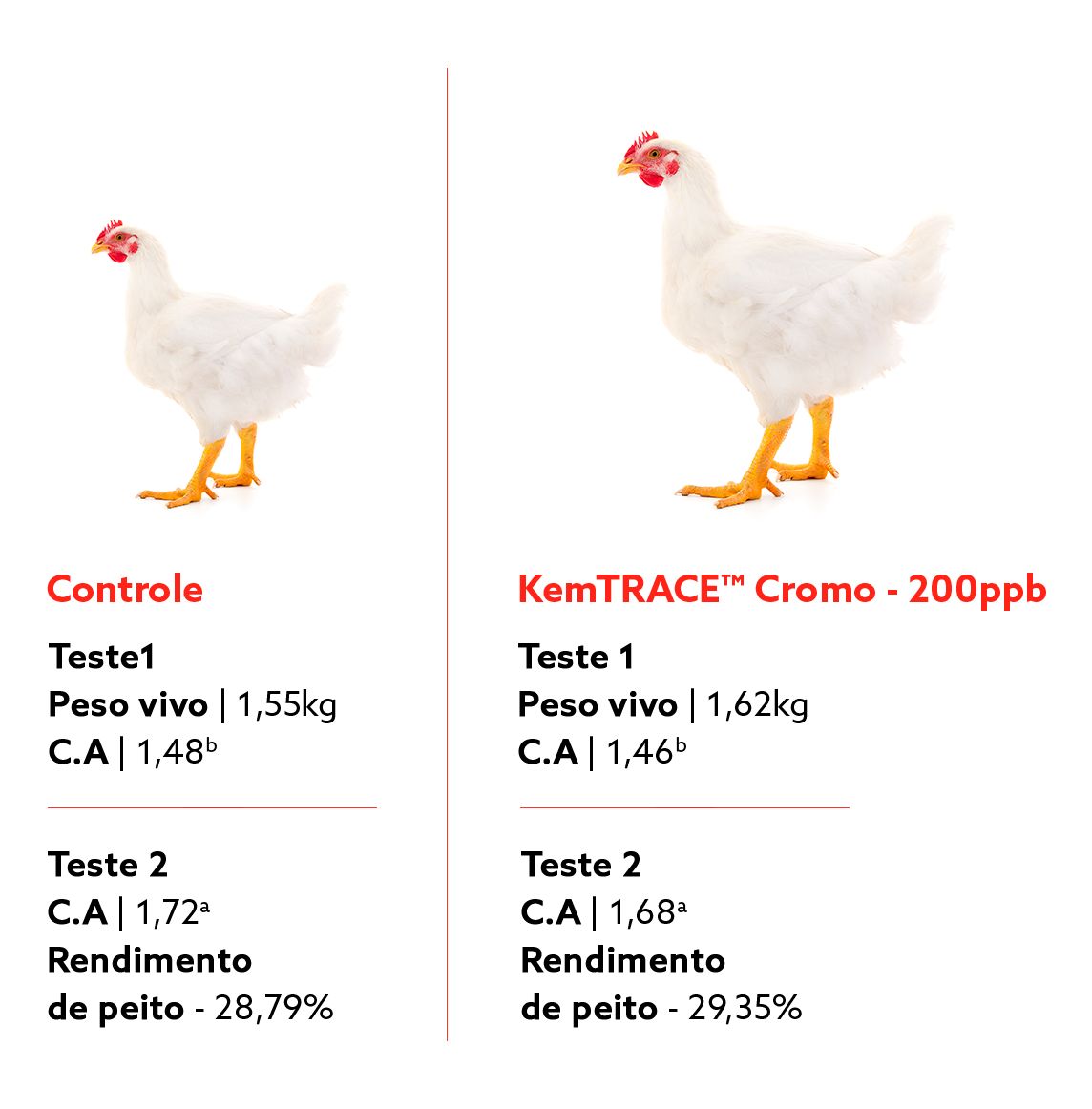 testes kemtrace.png