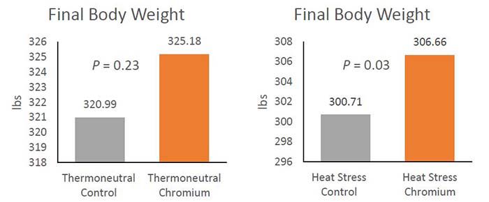 thermoneutral_and_heat_stress_final_body_weights