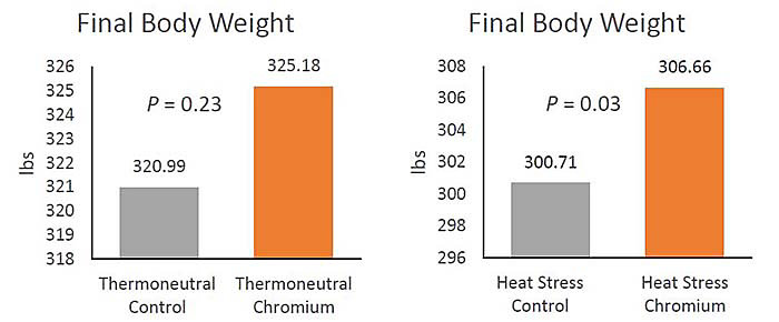 thermoneutral_and_heat_stress_final_body_weights