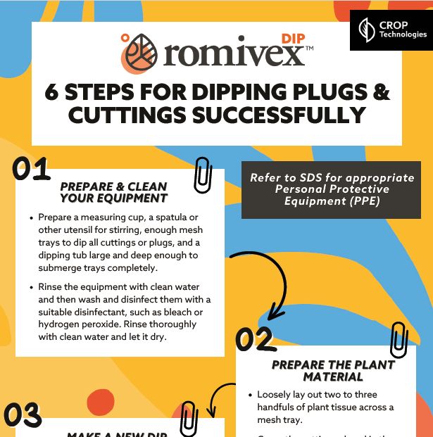 Romivex DIP - 6 Steps For Dipping Plugs & Cuttings Successfully