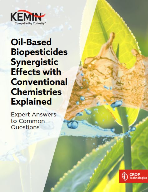 thumbnail oil-based pdf
