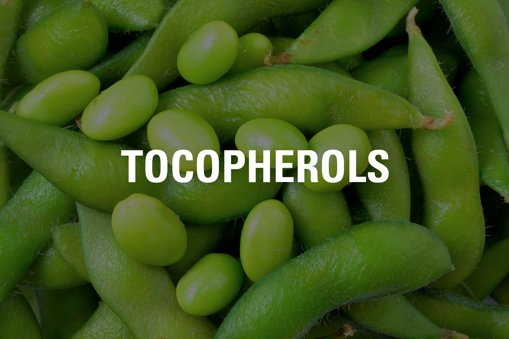 Tocopherols Ingredient Tile