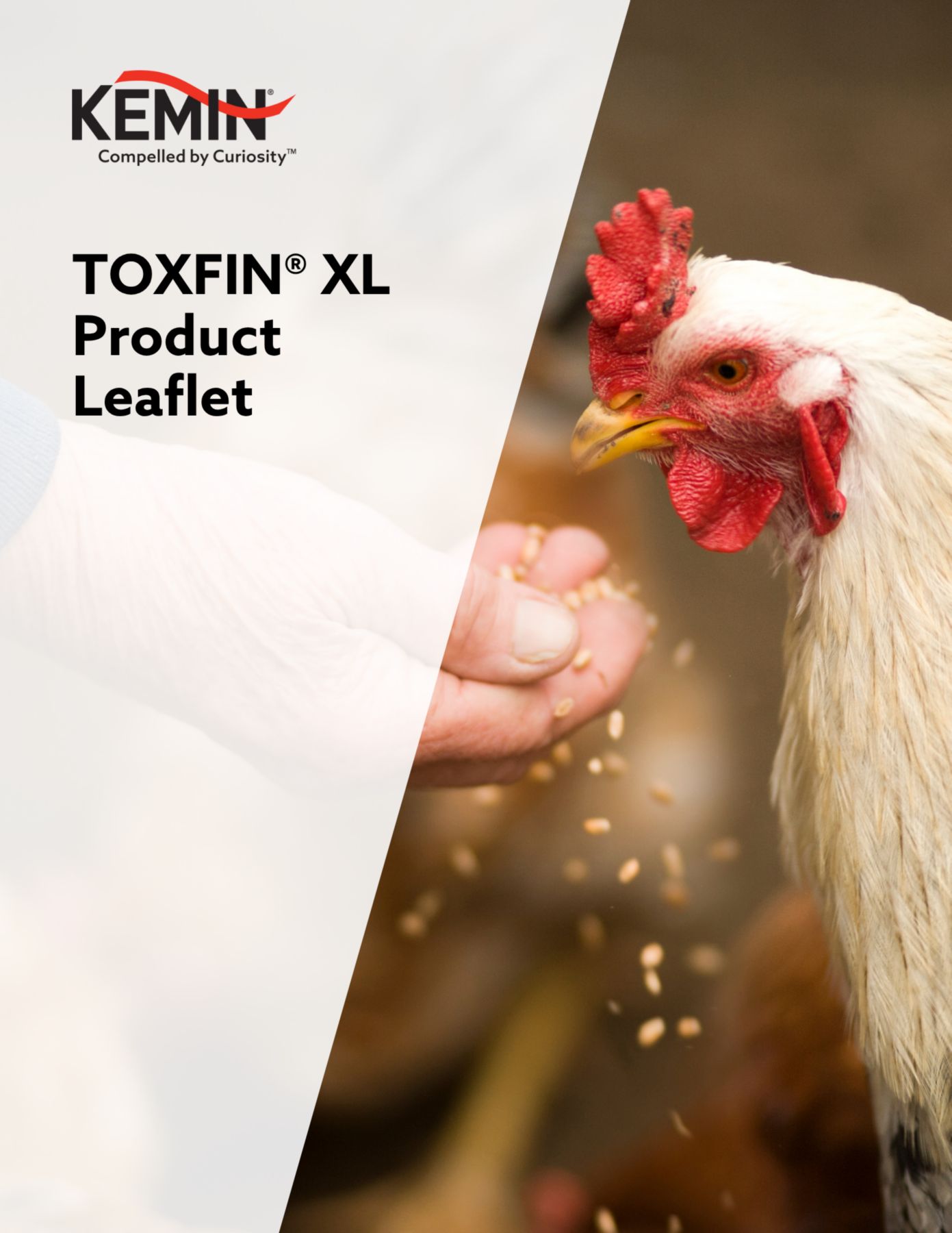 TOXFIN XL Leaflet Thumbnail