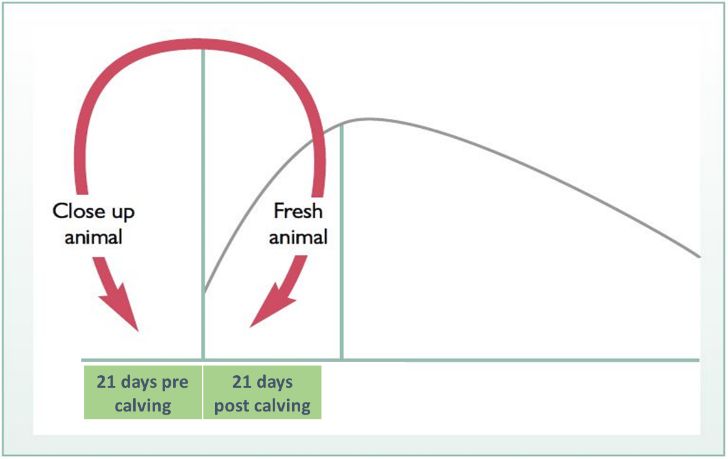 transitionmanagement