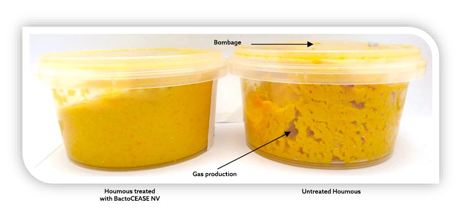 treated-houmous