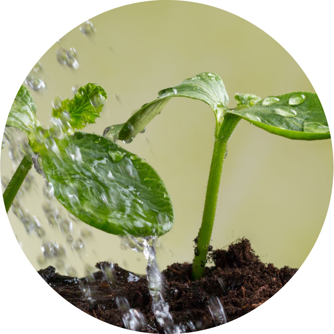 VALENA Flow Application