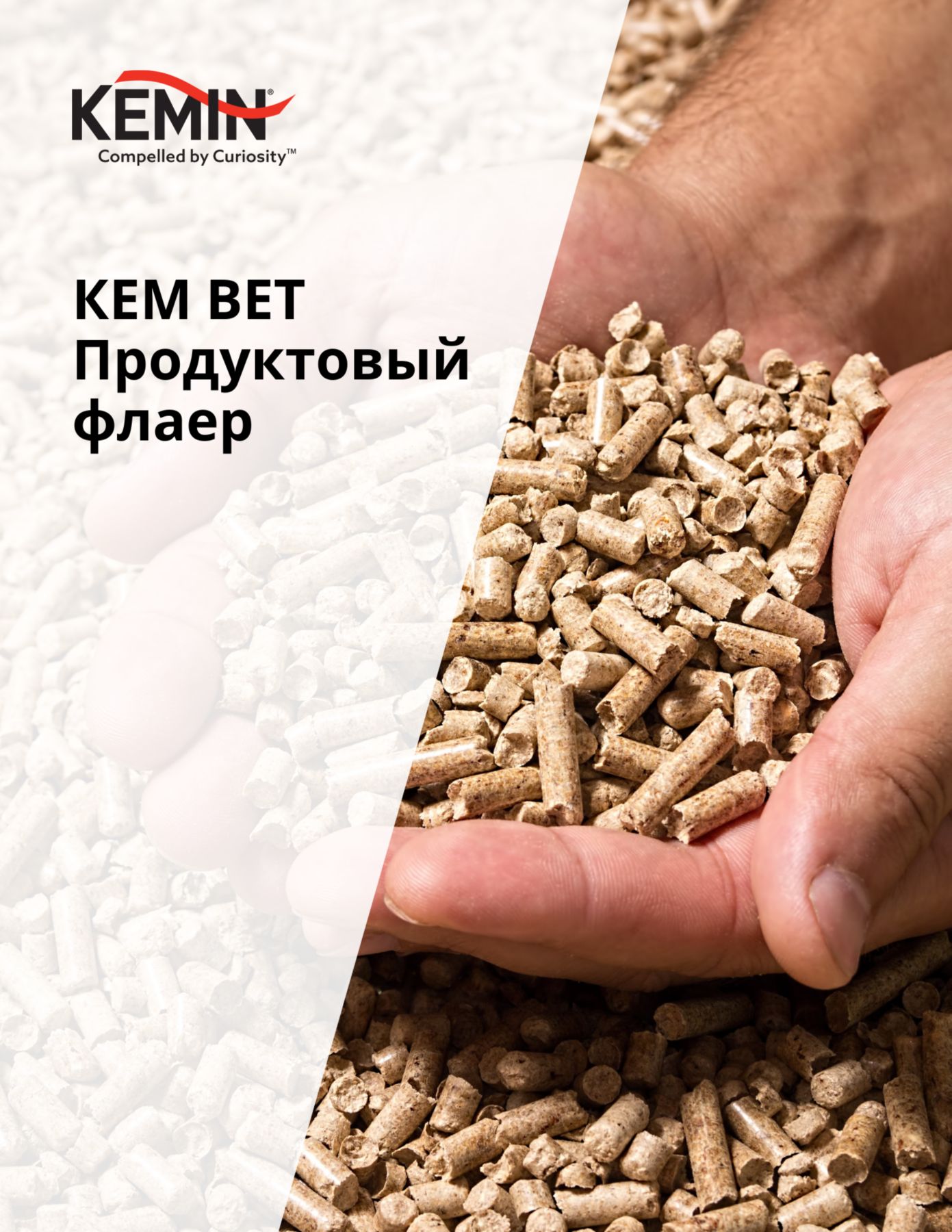 Copy of LYSOFORTE Leaflets - Maximise return on your feed through lower costs and increased efficiency